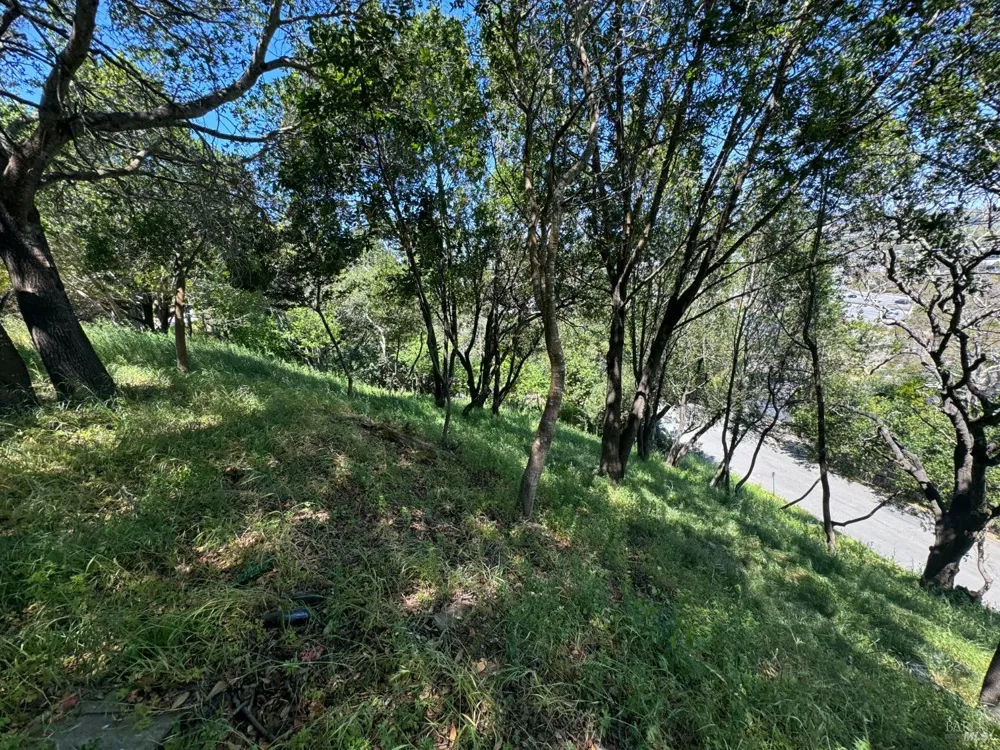 815 Meadowsweet Drive Corte Madera, CA 94925