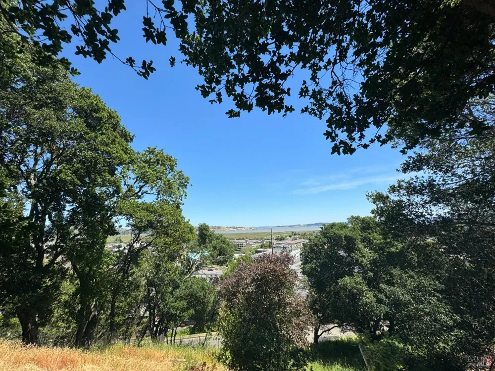 815 Meadowsweet Drive Corte Madera, CA 94925