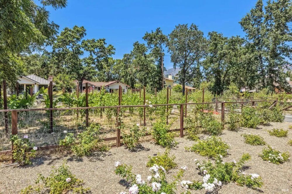 1929 Mora Avenue Calistoga, CA 94515