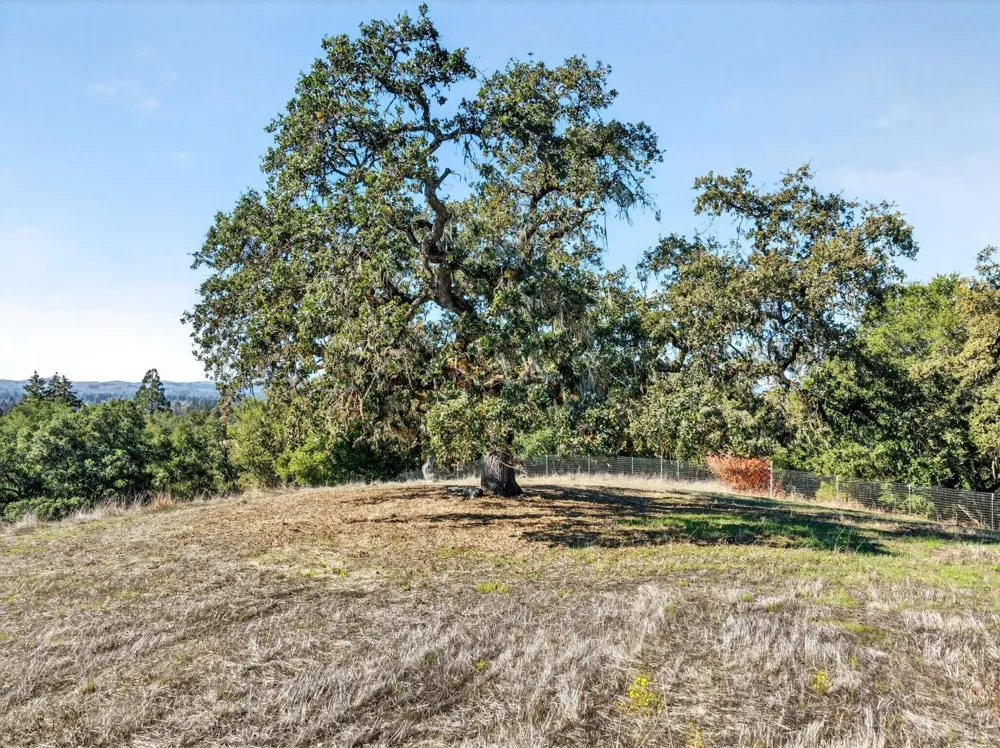 5200 Petaluma Hill Road Santa Rosa, CA 95404