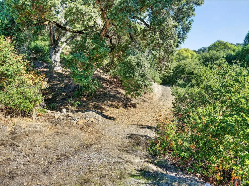 5200 Petaluma Hill Road Santa Rosa, CA 95404