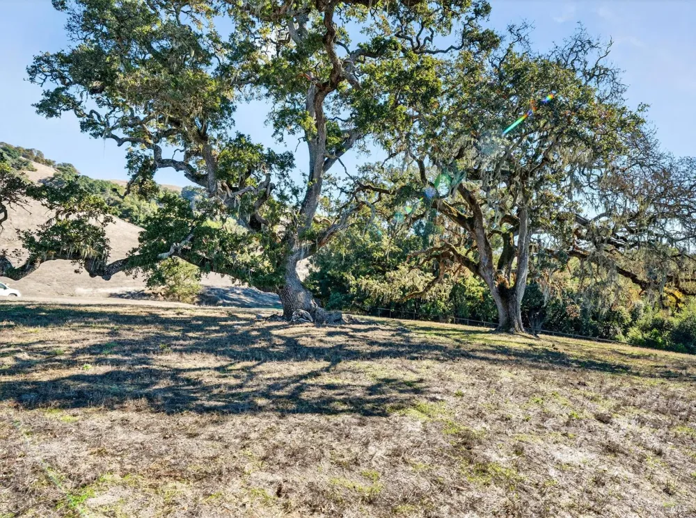 5200 Petaluma Hill Road Santa Rosa, CA 95404