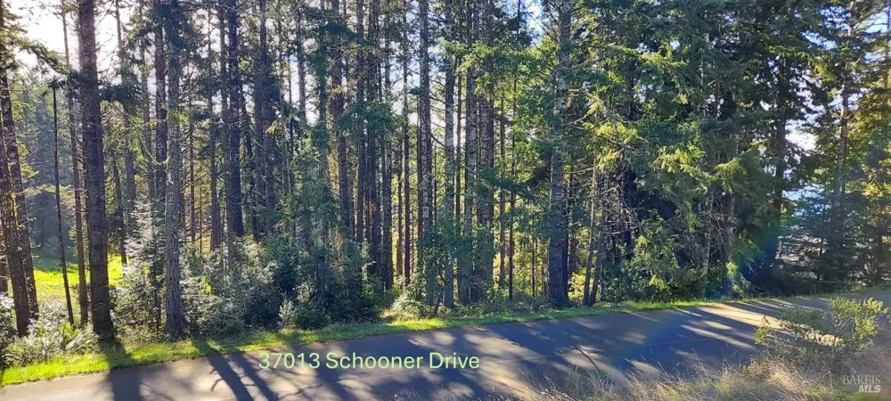 37013 Schooner Drive The Sea Ranch, CA 95497
