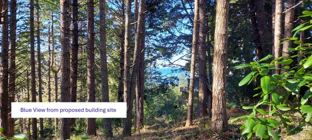 37013 Schooner Drive The Sea Ranch, CA 95497