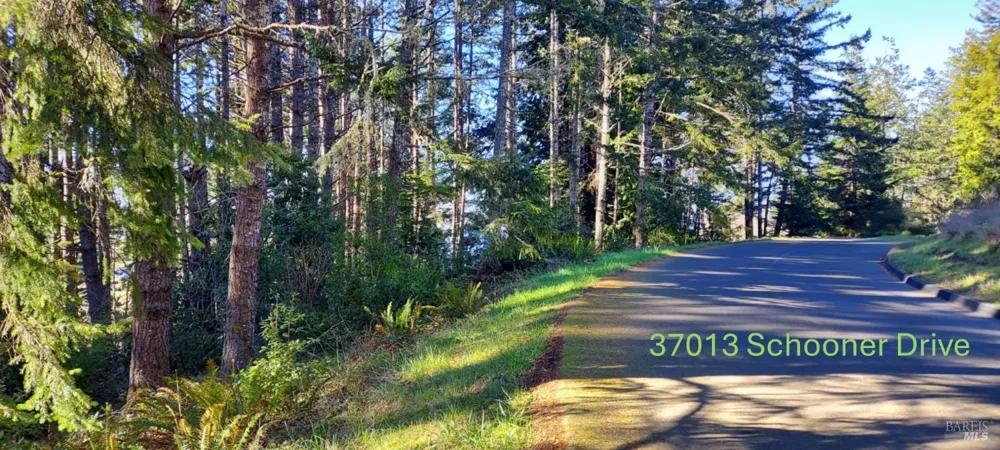 37013 Schooner Drive The Sea Ranch, CA 95497