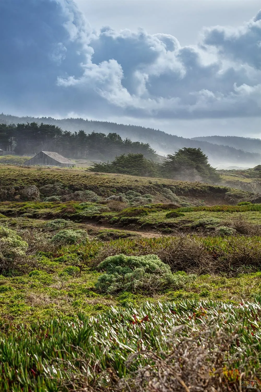 35995 Highway 1 The Sea Ranch, CA 95497