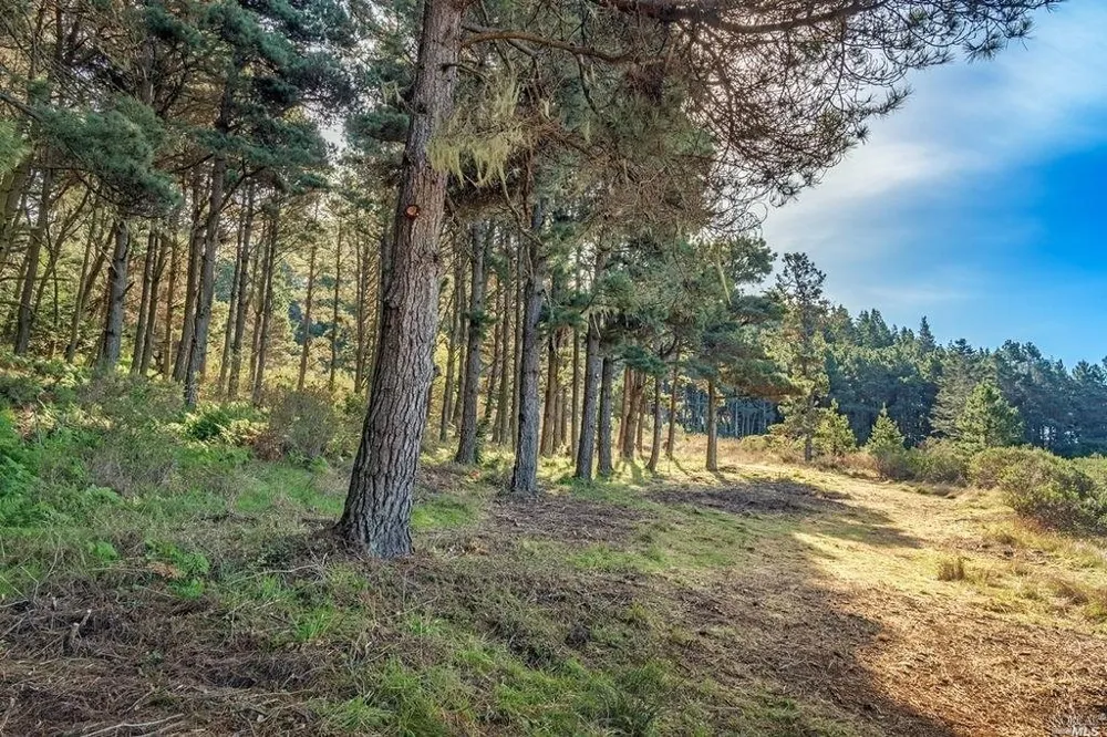 35995 Highway 1 The Sea Ranch, CA 95497