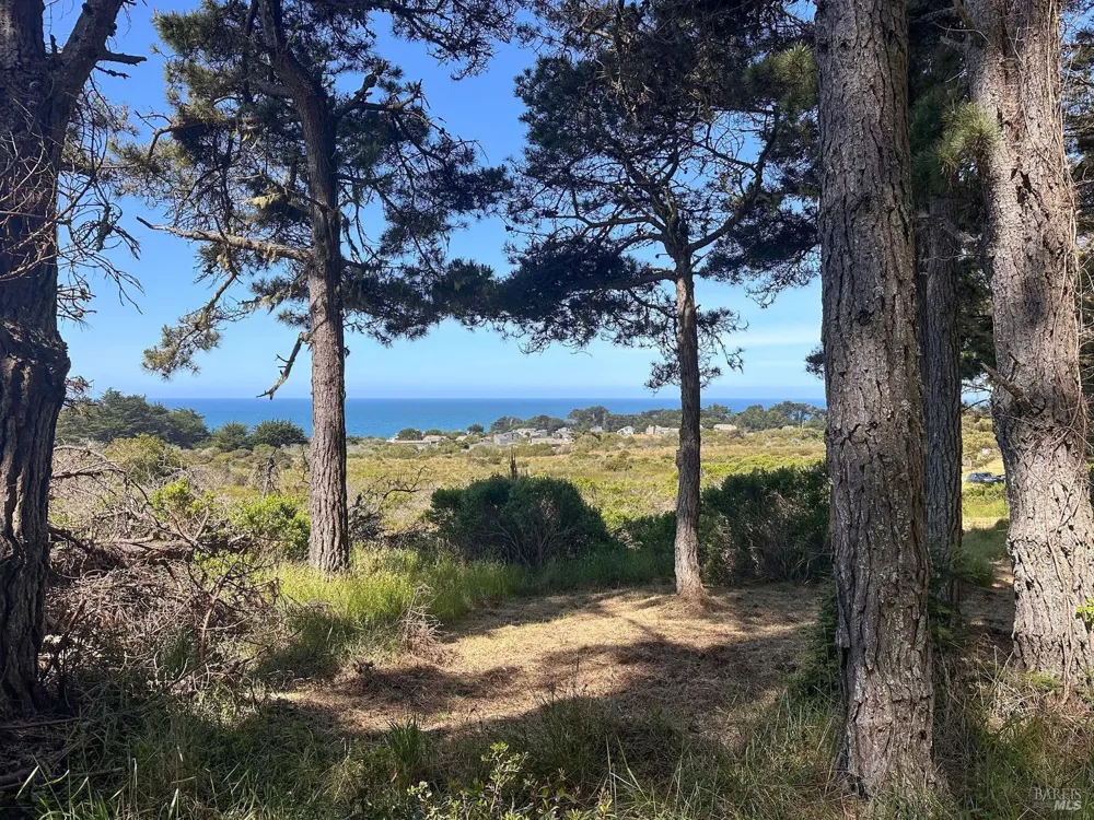 35995 Highway 1 The Sea Ranch, CA 95497