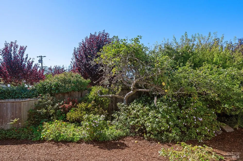 40 Arenal Avenue Stinson Beach, CA 94970
