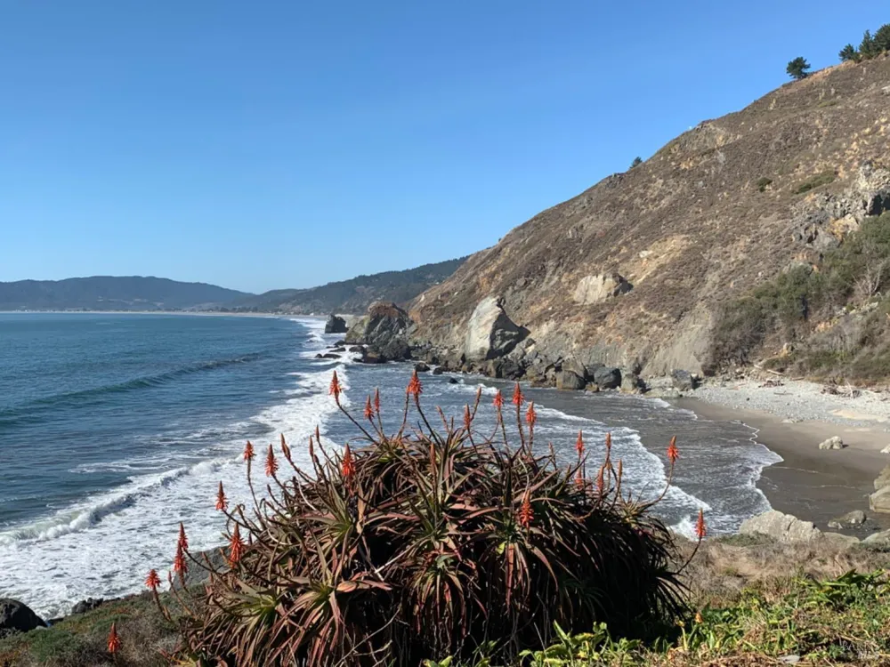 40 Arenal Avenue Stinson Beach, CA 94970