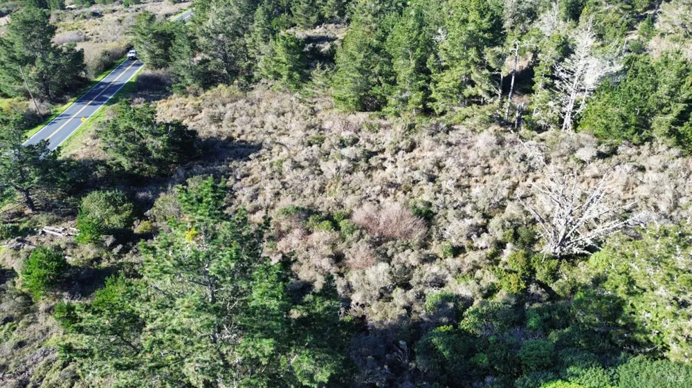 2100 Highway 1 Bodega Bay, CA 94923