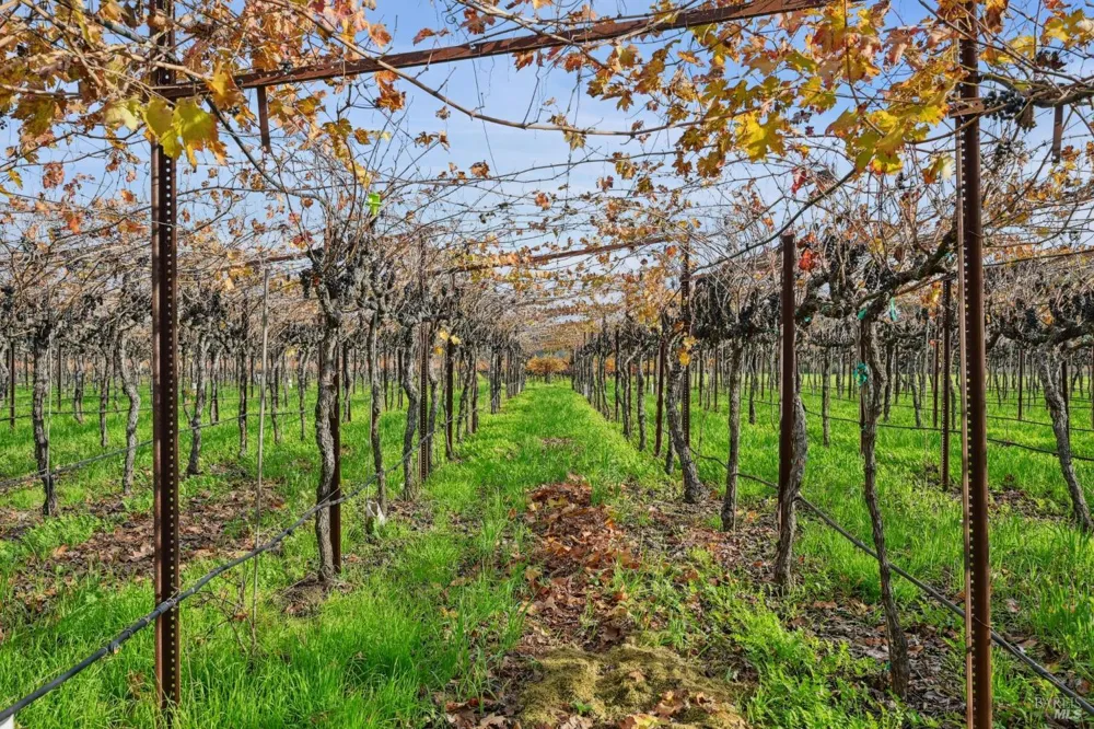 4188 Saint Helena Highway Calistoga, CA 94515