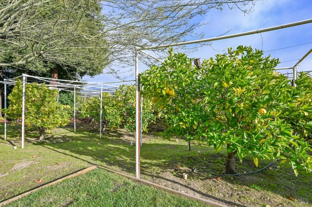 4188 Saint Helena Highway Calistoga, CA 94515