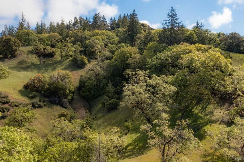 30131 Elkhorn Road Yorkville, CA 95494