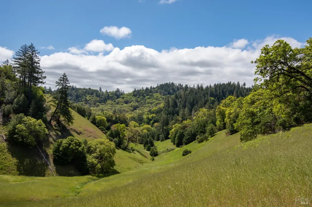 30131 Elkhorn Road Yorkville, CA 95494