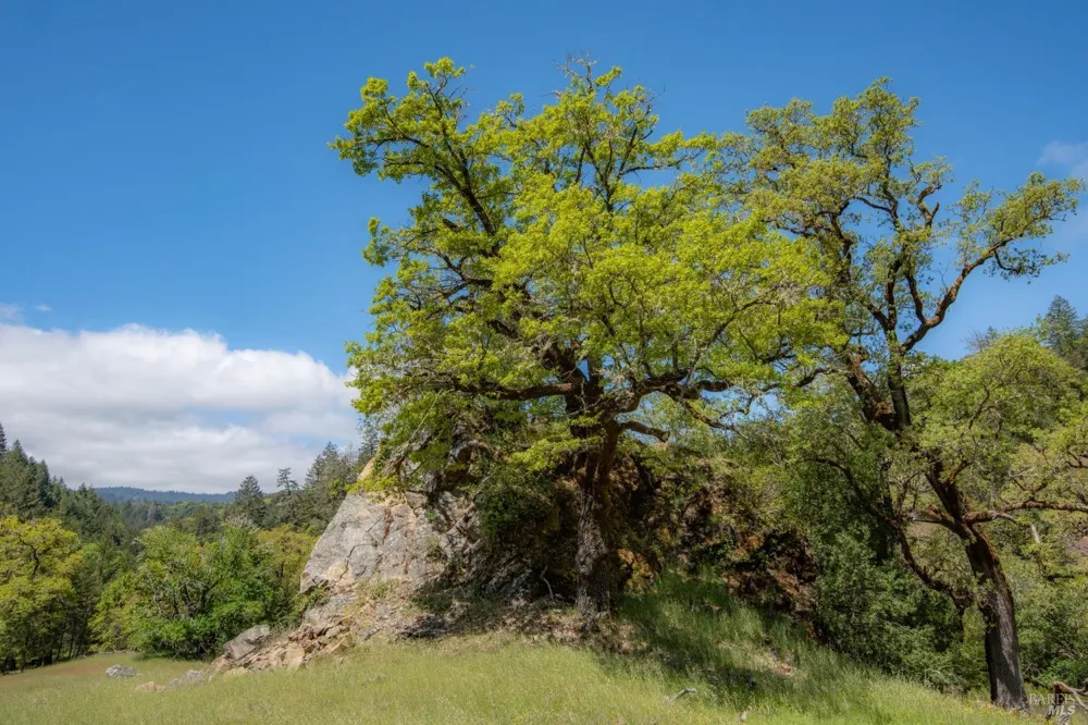 30131 Elkhorn Road Yorkville, CA 95494