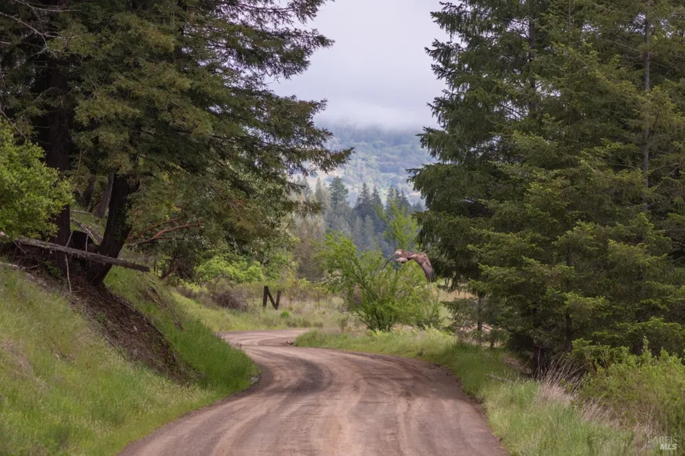 30131 Elkhorn Road Yorkville, CA 95494