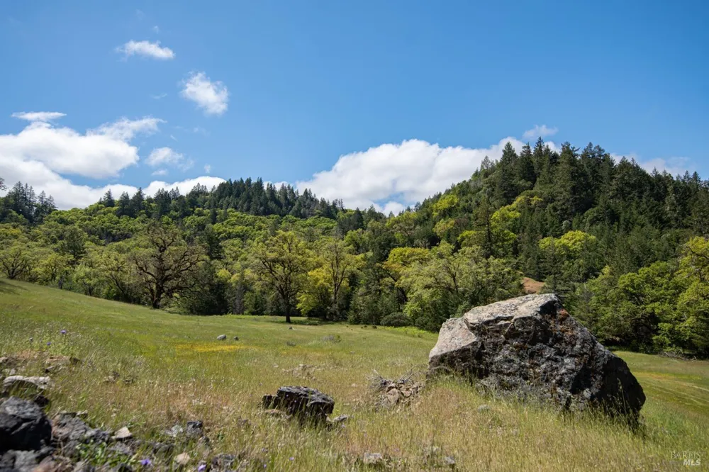 30131 Elkhorn Road Yorkville, CA 95494