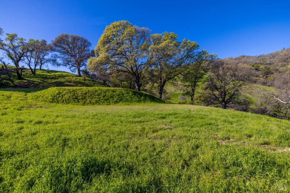 7031 Robindale Lane Vacaville, CA 95688