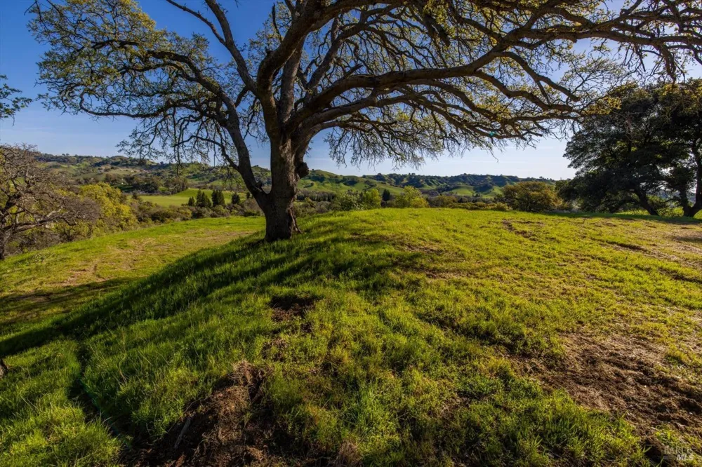 7031 Robindale Lane Vacaville, CA 95688