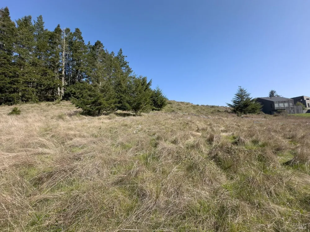 36964 Greencroft The Sea Ranch, CA 95497
