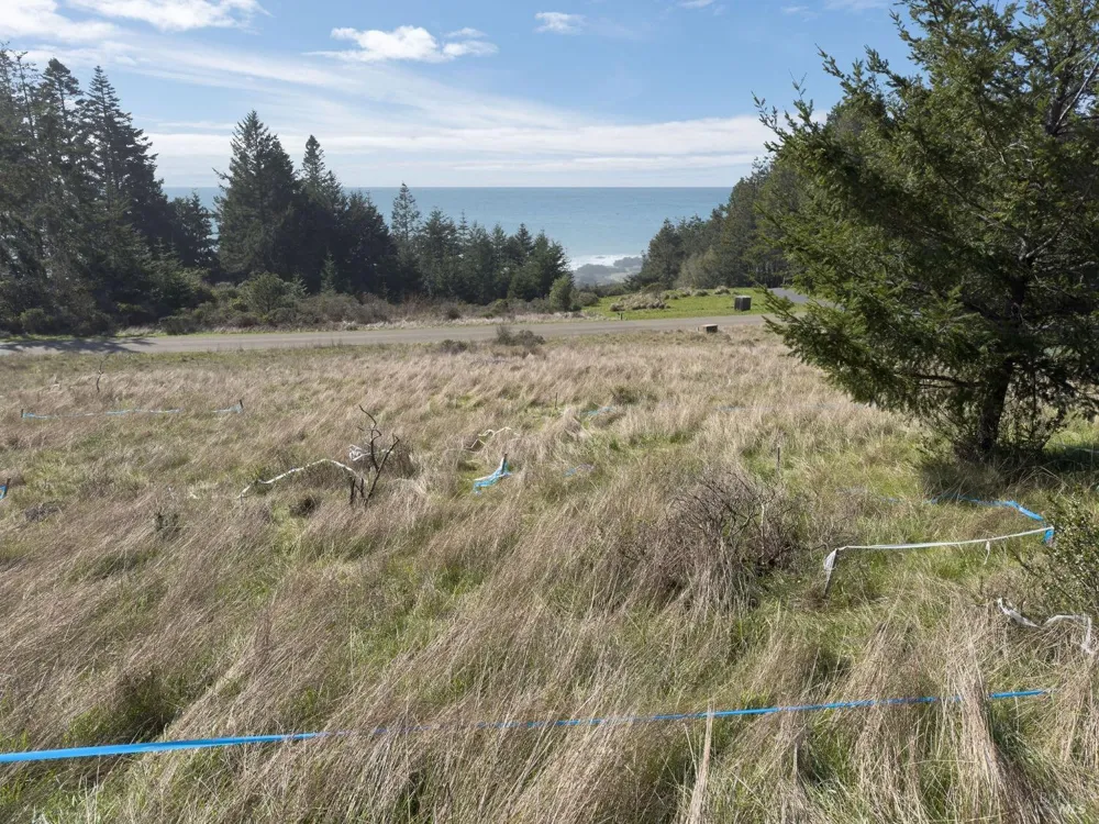 36964 Greencroft The Sea Ranch, CA 95497