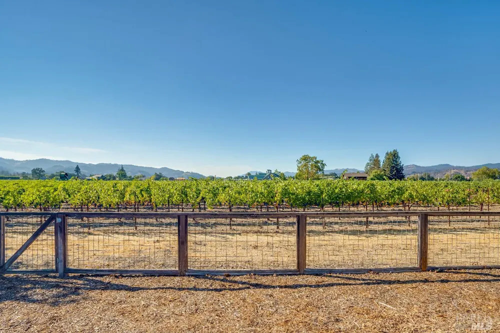 1234 Davis Lane St. Helena, CA 94574