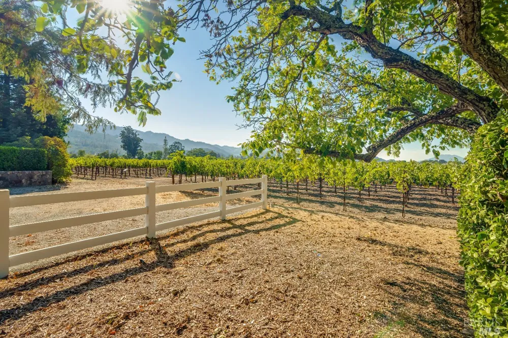 1234 Davis Lane St. Helena, CA 94574