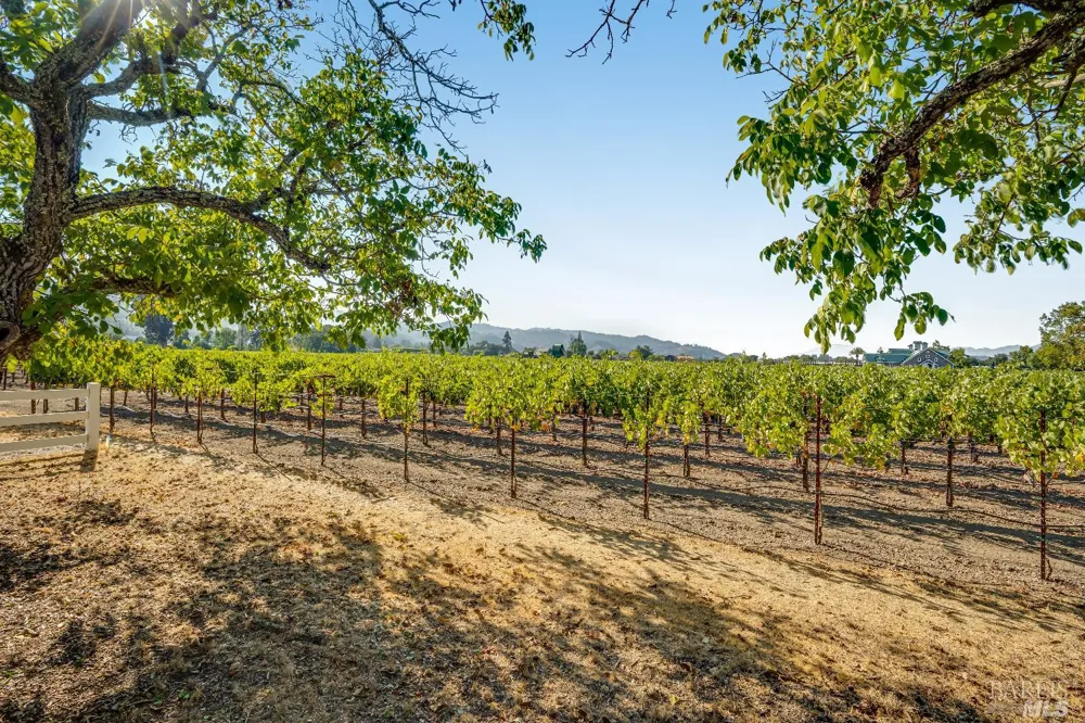 1234 Davis Lane St. Helena, CA 94574