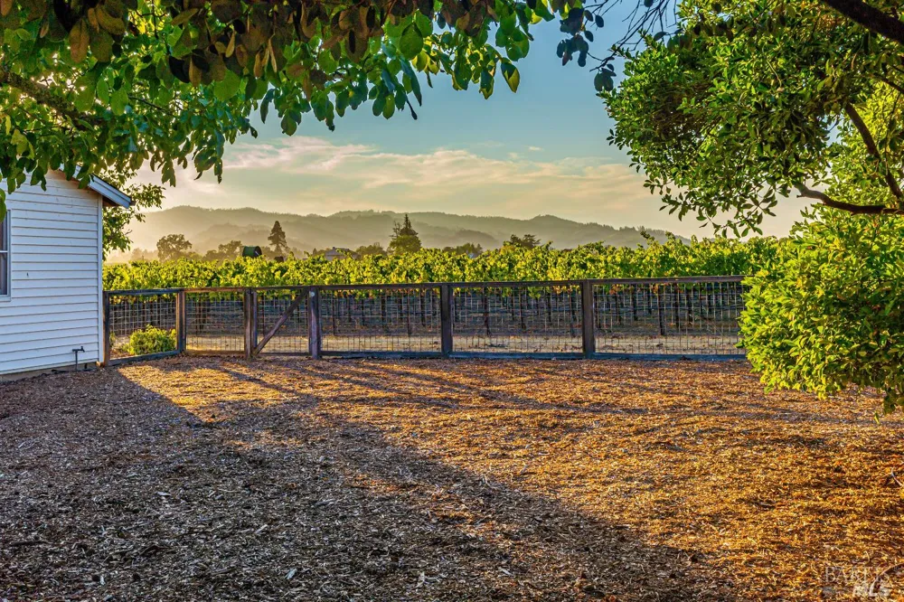 1234 Davis Lane St. Helena, CA 94574