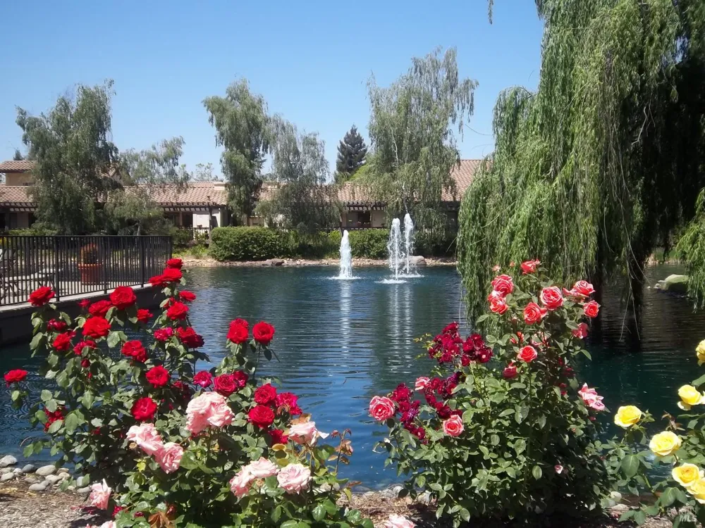 36 Fountain Grove Circle Napa, CA 94558