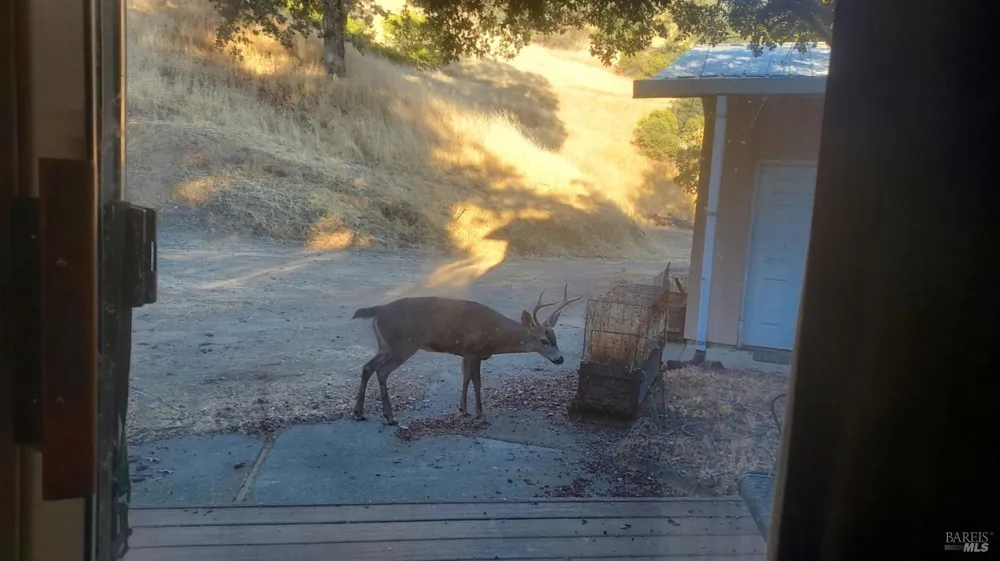 4950 Bartlett Springs Road Nice, CA 95464