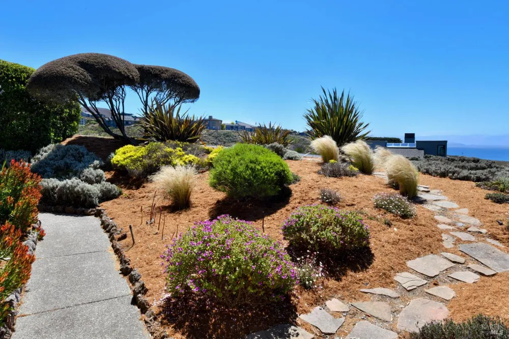 590 Swan Drive Bodega Bay, CA 94923