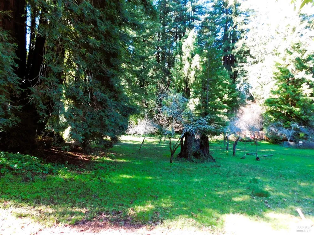 15900 Drake Road Guerneville, CA 95446