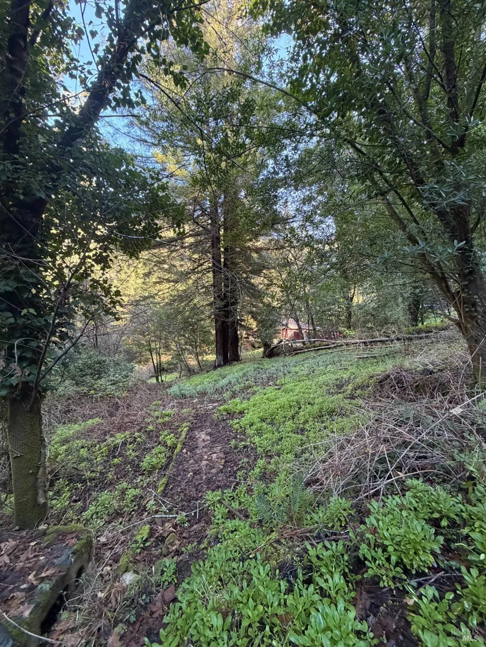 136 Lagunitas Road Lagunitas, CA 94938