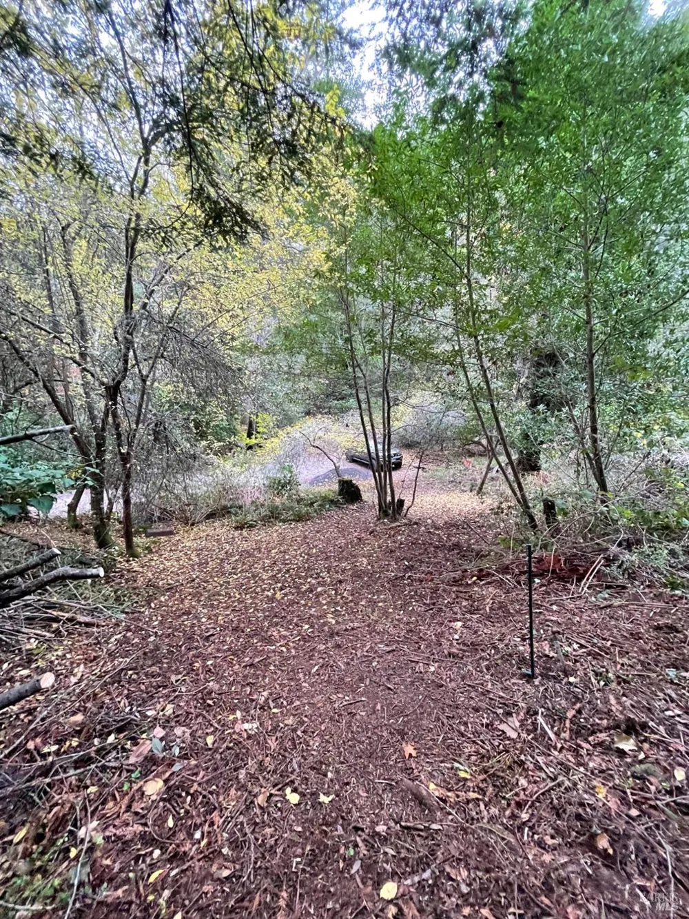 136 Lagunitas Road Lagunitas, CA 94938