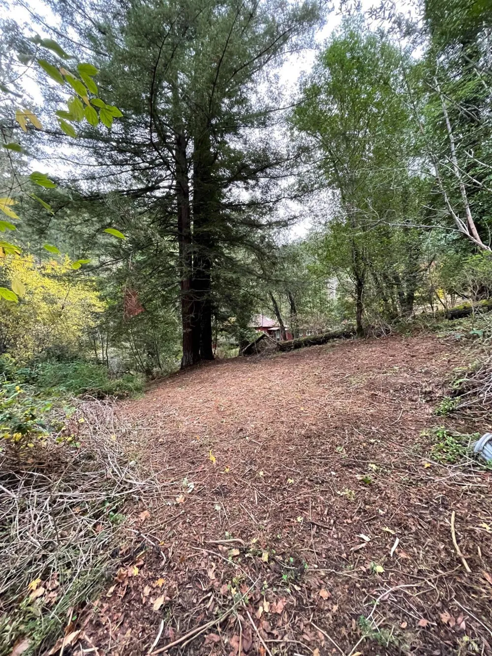 136 Lagunitas Road Lagunitas, CA 94938