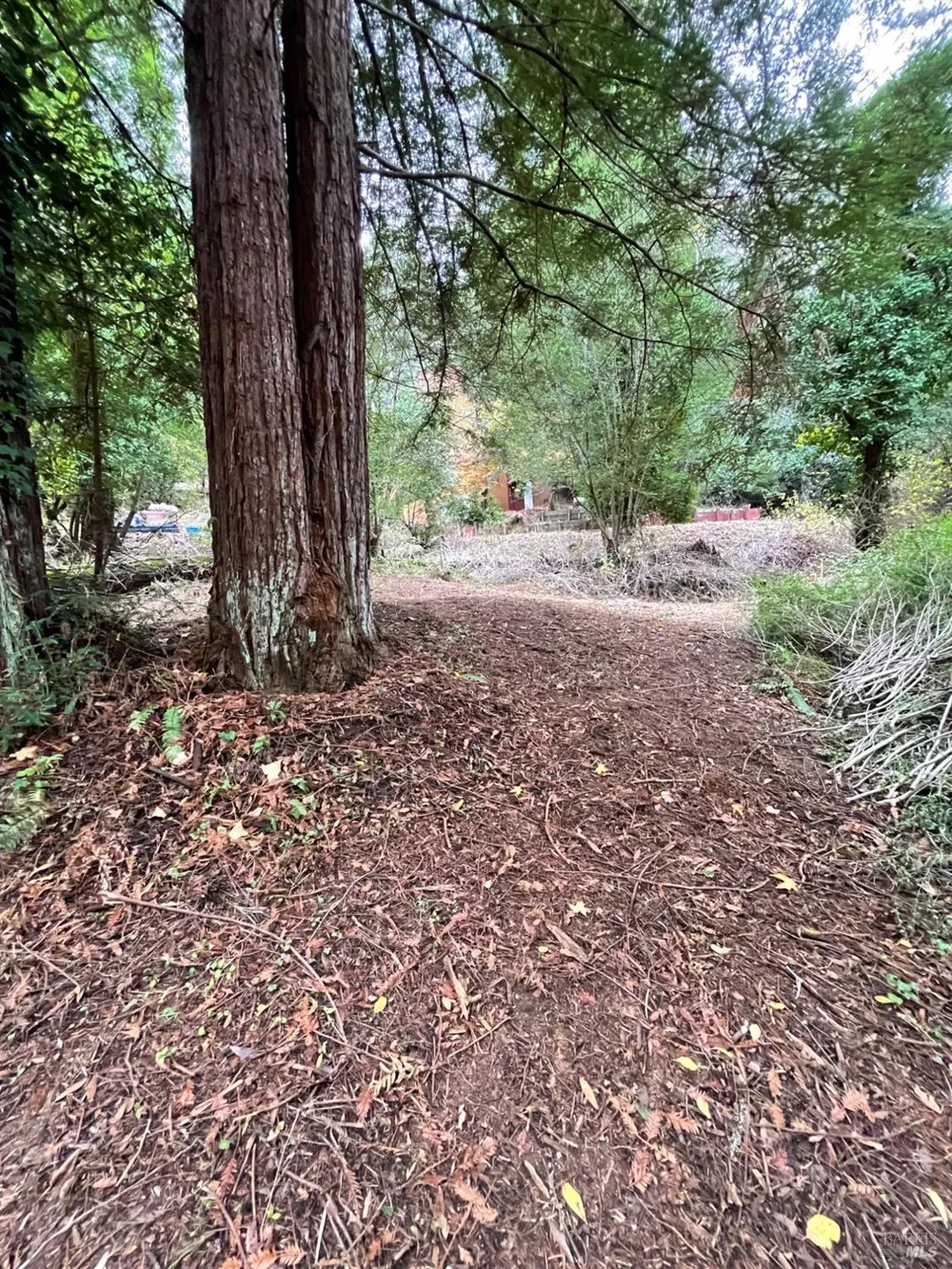 136 Lagunitas Road Lagunitas, CA 94938