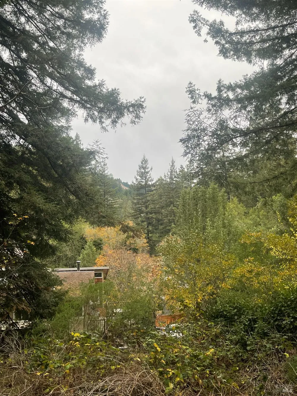 136 Lagunitas Road Lagunitas, CA 94938
