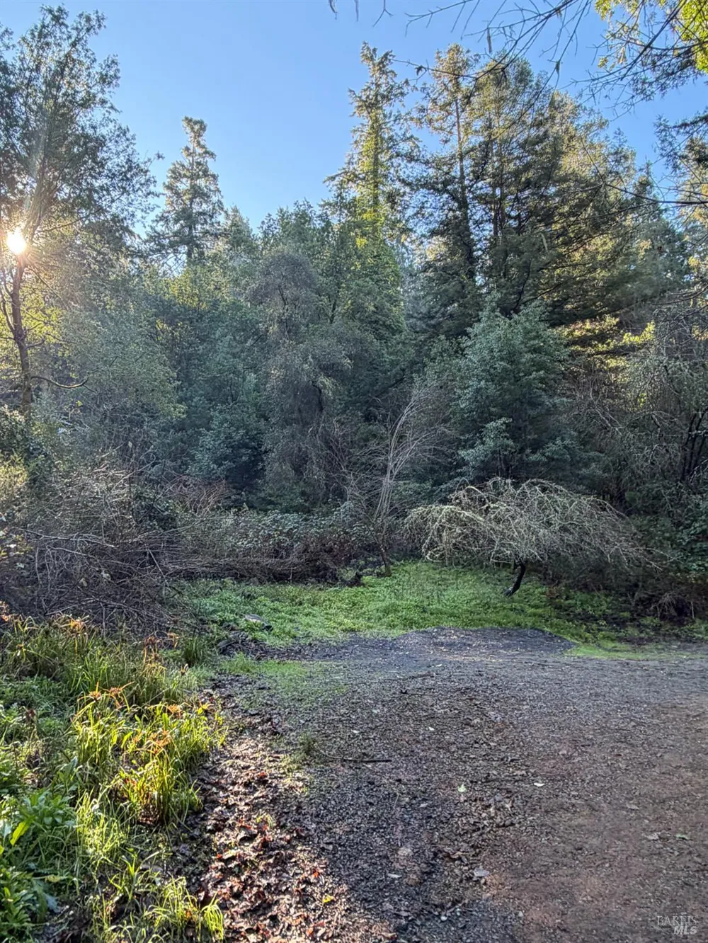 136 Lagunitas Road Lagunitas, CA 94938