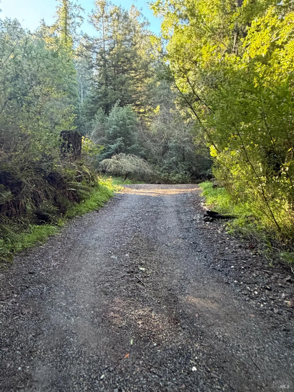 136 Lagunitas Road Lagunitas, CA 94938