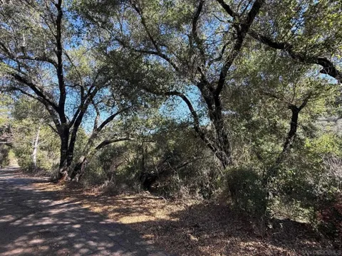 Wildcat Canyon Road