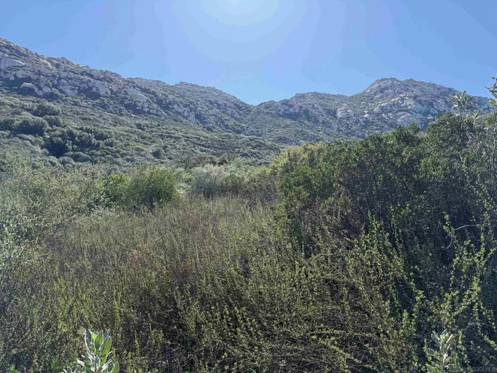 Wildcat Canyon Road Lakeside, CA 92040