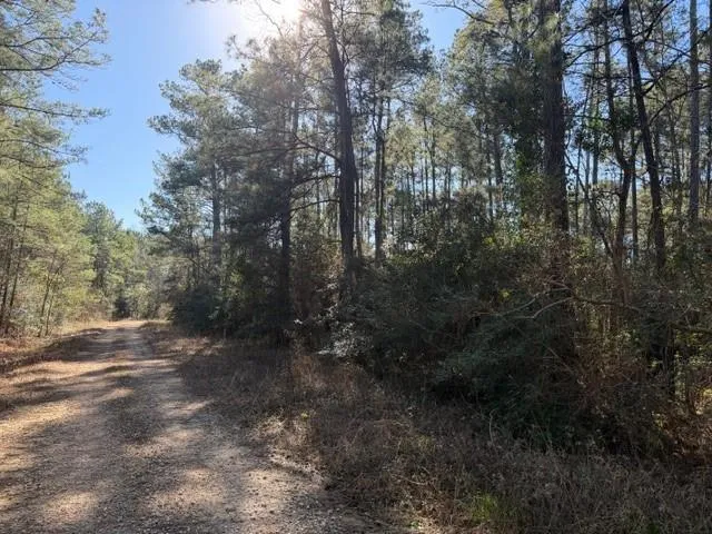 Preacher Denson Road Coldspring, TX 77331
