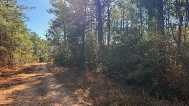Preacher Denson Road Coldspring, TX 77331