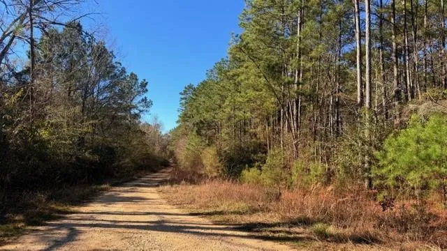 Preacher Denson Road Coldspring, TX 77331