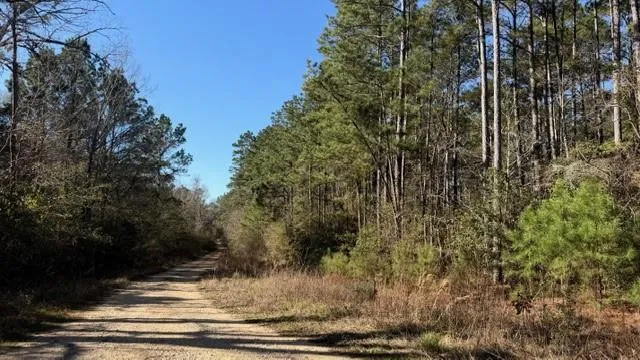 Preacher Denson Road Coldspring, TX 77331