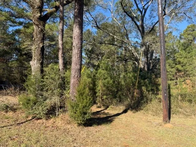 Preacher Denson Road Coldspring, TX 77331