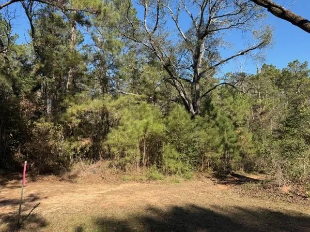 Preacher Denson Road Coldspring, TX 77331