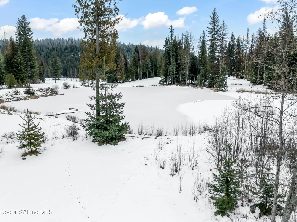 586 Fairway Drive Priest Lake, ID 83856